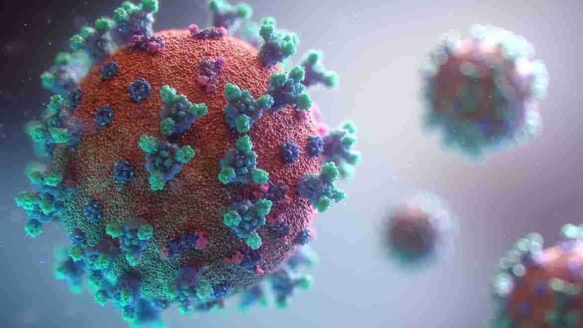 corona virus (2) corona virus